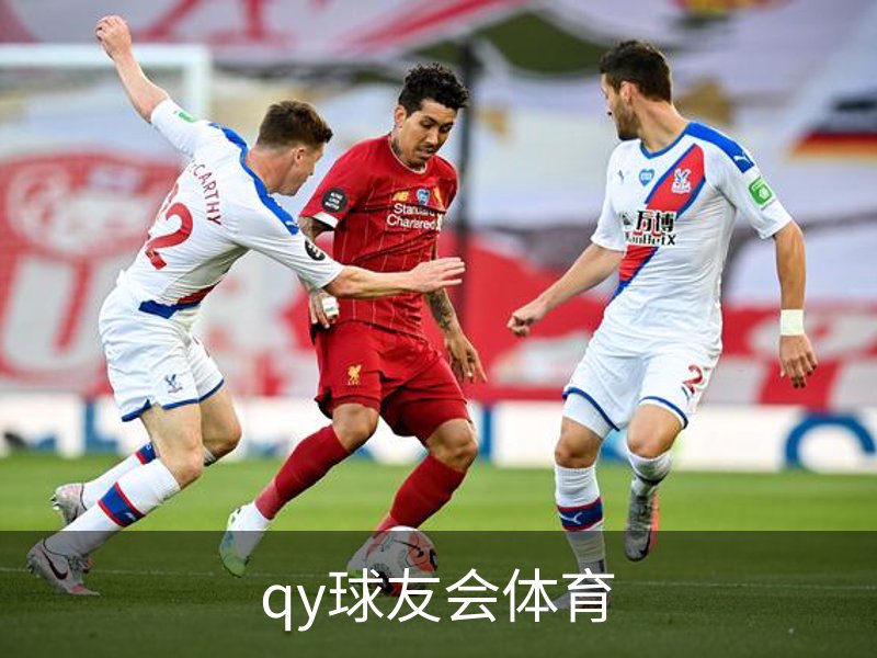 qy球友会体育概况